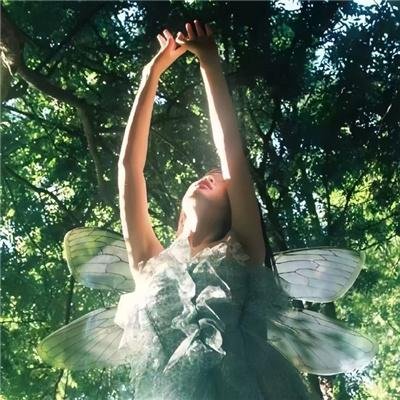 亚马逊萌猴奇遇记国语